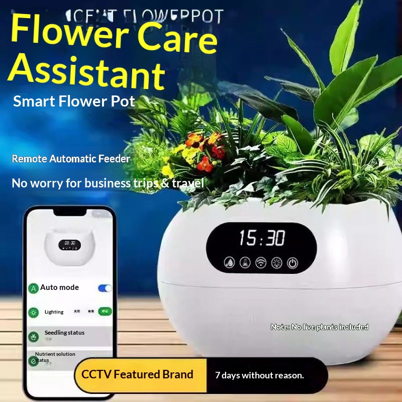 Yapay Zeka Akıllı Saksı Otomat - Flower Supplies incelemesi ve fiyatı